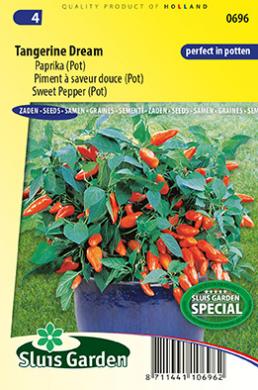 Mini Sweet Bell Pepper Tangerine Dream (Capsicum) 20 seeds